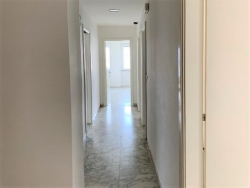 Studio Categoria A10 Con Terrazzo a Livello Ponte Della Libertà 200 Mq