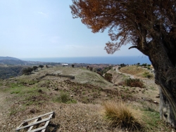 Terreno Agricolo Con Ruderi Lazzaro 13.000 Mq