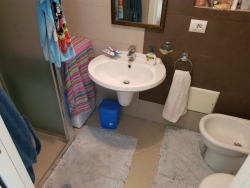 Bilocale Ristrutturato Con Cantina e Giardino Centrale 50 Mq