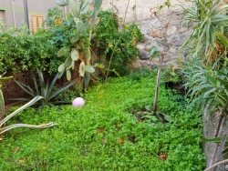 Bilocale Ristrutturato Con Cantina e Giardino Centrale 50 Mq
