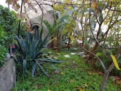 Bilocale Ristrutturato Con Cantina e Giardino Centrale 50 Mq