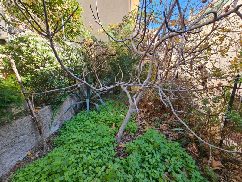 Bilocale Ristrutturato Con Cantina e Giardino Via Andiloro 50 Mq