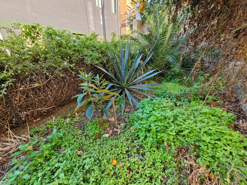 Bilocale Ristrutturato Con Cantina e Giardino Via Andiloro 50 Mq