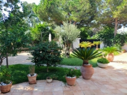 Villa Indipendente Su Due Livelli Con Giardino Lungomare Pellaro 250 Mq