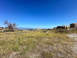Ampio Terreno Pianeggiante Pellaro 13.000 mq 