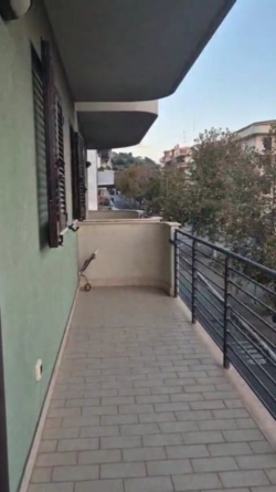 Appartamento Di Recente Costruzione Arredato Con Cantina e Posto Auto Villa San Giovanni 70 Mq