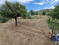 Semi Indipendente Con Giardino San Filippo 130 Mq