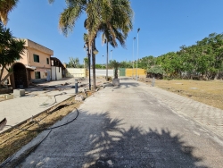 Terreno + Rudere + Locale Commerciale + Appartamenti Arangea