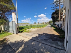 Ampio Terreno San Gregorio 5000 Mq