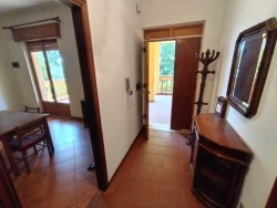 Appartamento In Villa Arredato + Portico + Giardino + Posti Auto San Gregorio 