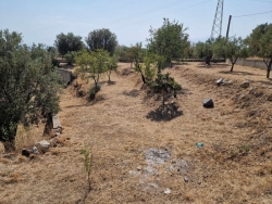 Terreno Pressi Oliveto 1400 Mq