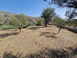 Terreno Pressi Oliveto 1400 Mq
