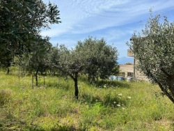 Terreno Agricolo Trapezi 800 Mq
