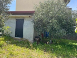 Terreno Agricolo Trapezi 800 Mq