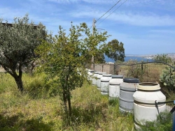Terreno Agricolo Trapezi 800 Mq