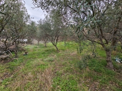 Splendida Villa Due Livelli 282 Mq + Corte + Terreni 2638 Mq Sala Mosorrofa