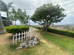 Elegante Villa Indipendente Super Panoramica Con Piscina Aretina