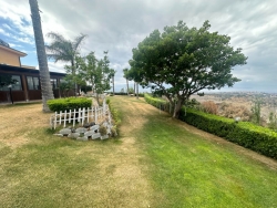 Elegante Villa Indipendente Super Panoramica Con Piscina Aretina