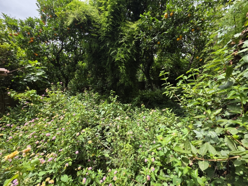 Rudere 3 Livelli Da Ristruturare 288 Mq + Giardino 60 Mq Gallico Superiore