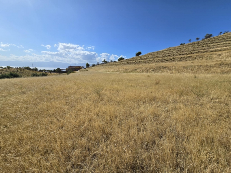 Ampio Terreno Panoramico Bocale 3820 Mq