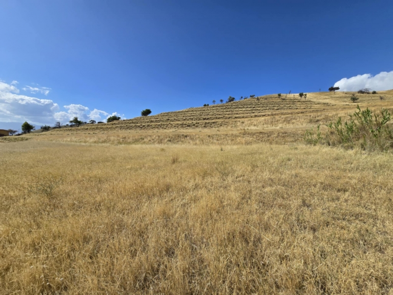 Ampio Terreno Panoramico Bocale 3820 Mq