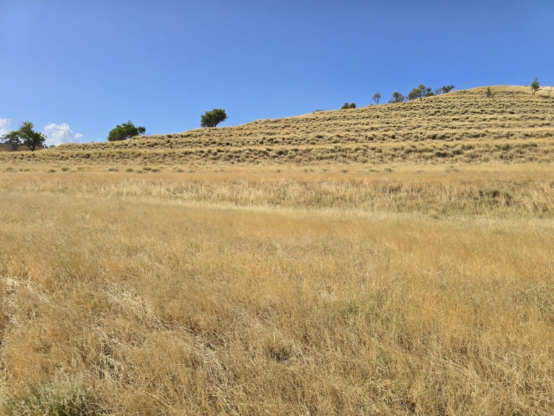 Ampio Terreno Panoramico Bocale 3820 Mq