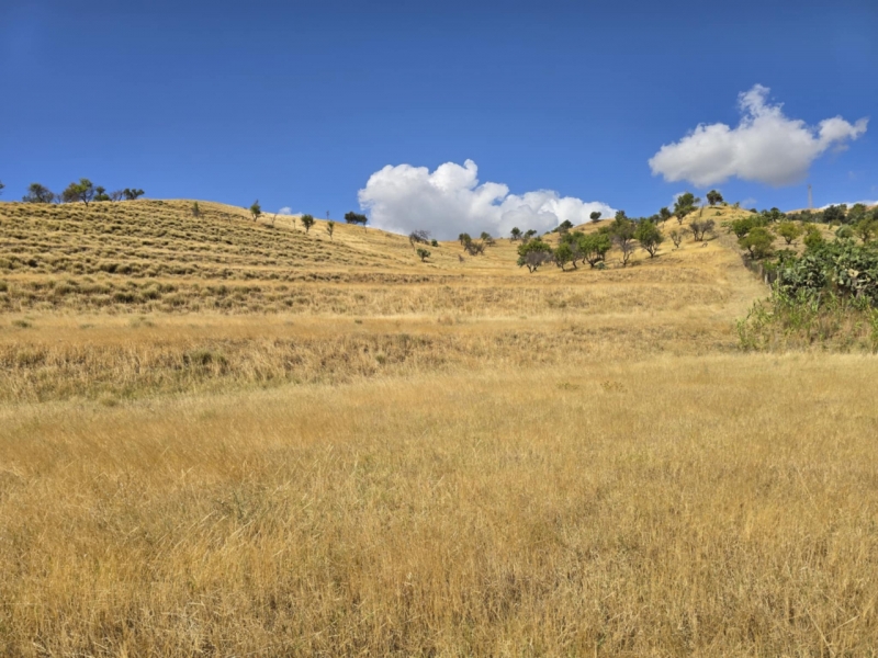 Ampio Terreno Panoramico Bocale 3820 Mq