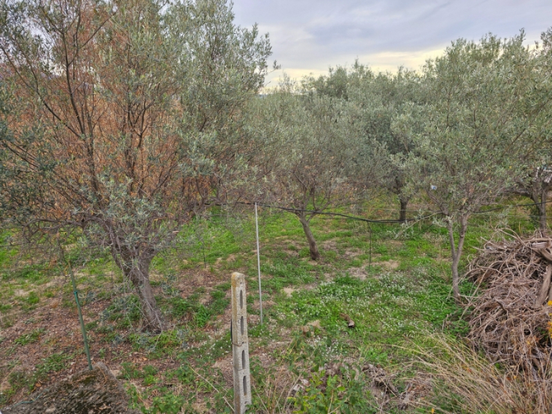 Villa Immersa Nel Verde Sala di Mosorrofa