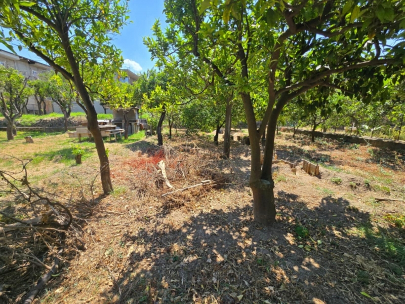 Terreno Edificabile Villa San Giuseppe 420 Mq