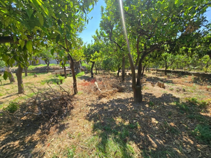 Terreno Edificabile Villa San Giuseppe 420 Mq