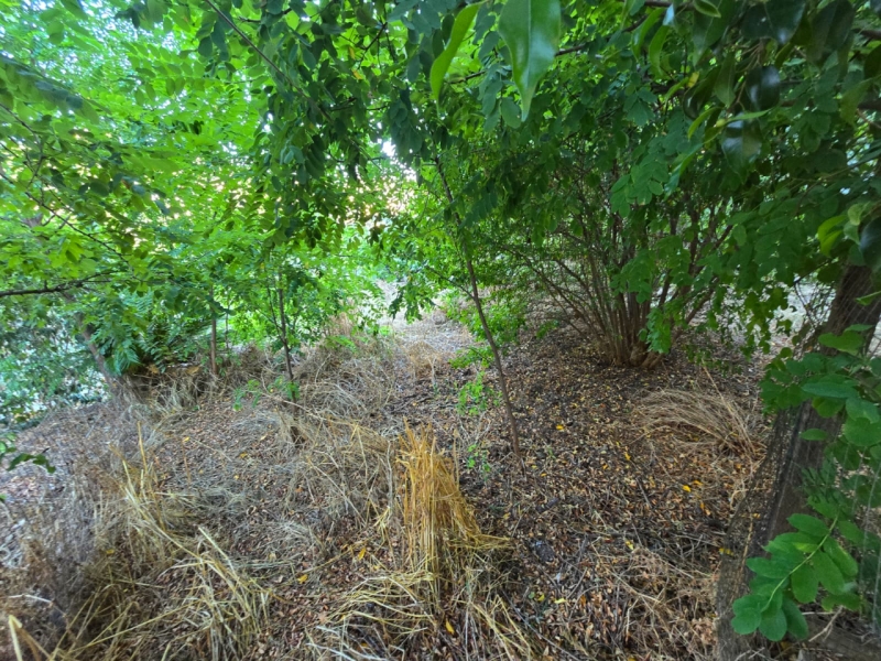 Villa Indipendente Da Ristrutturare 160 Mq Con Giardino 1000 Mq Prumo 