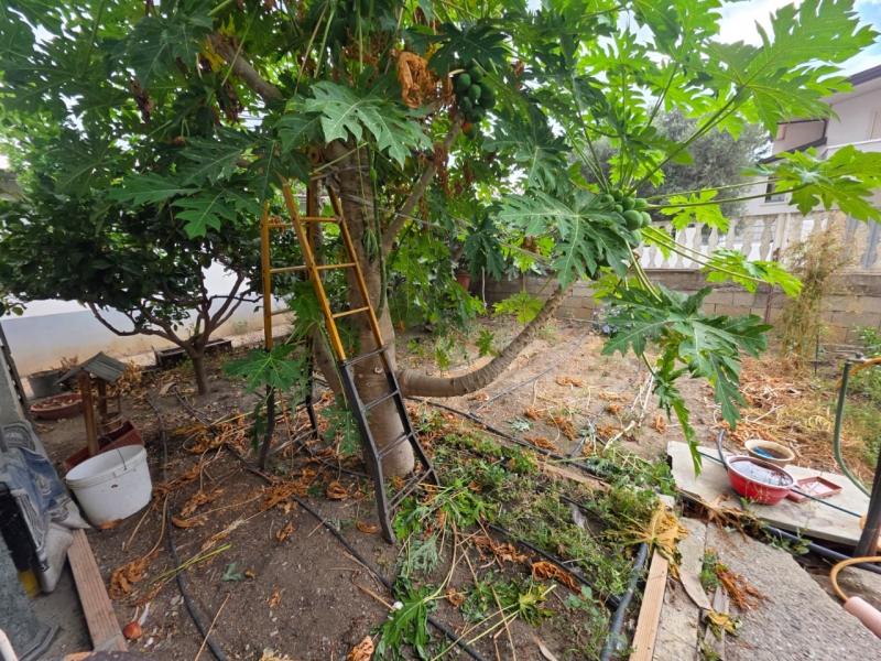 Ampio Appartamento + Giardino + Garage + Cantina Condofuri