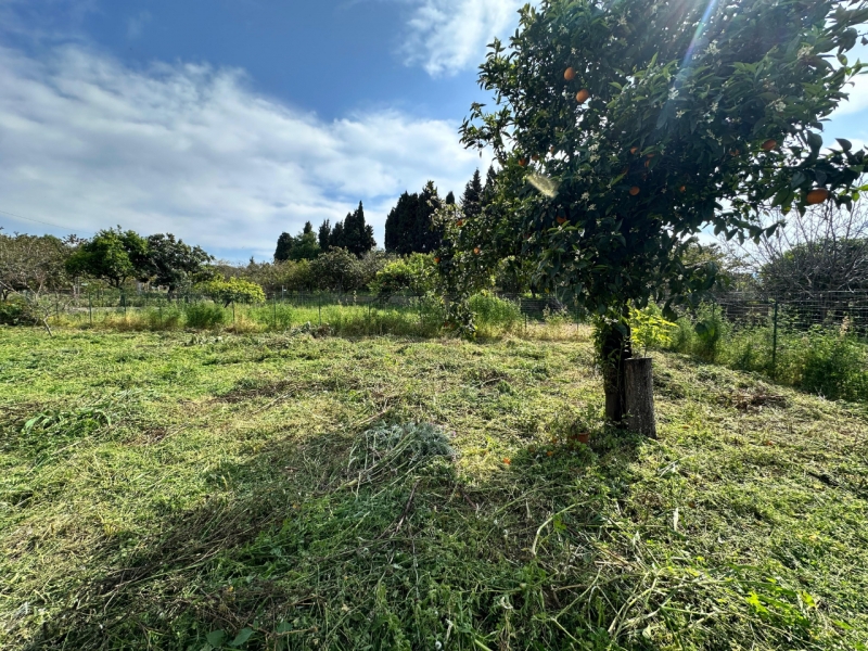 Villa indipendente Su Quattro Livelli Con giardino Villa San Giovanni