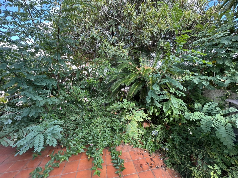 Villa A Schiera Di Testa 125 Mq Con Giardino 100 Mq Condofuri