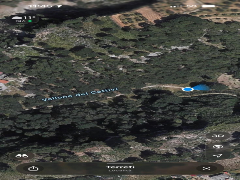 Terreno Boschivo Terreti 20650 Mq