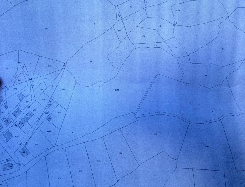 Terreno Boschivo Terreti 20650 Mq