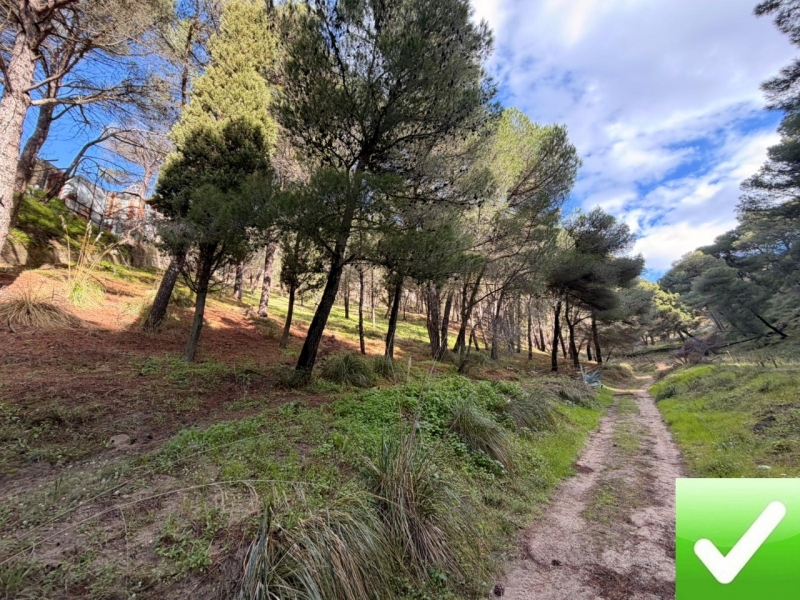 Terreno Boschivo Terreti 20650 Mq