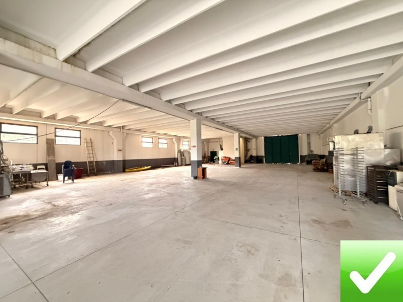 Ampio Capannone Industriale Arangea