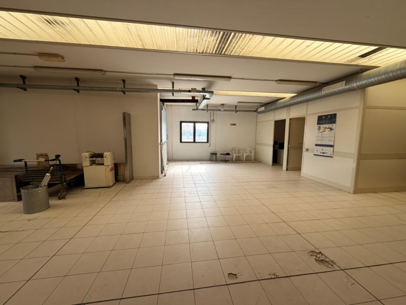 Ampio Capannone Industriale Arangea