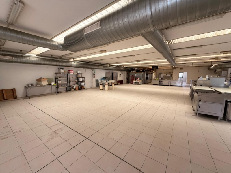 Ampio Capannone Industriale Arangea