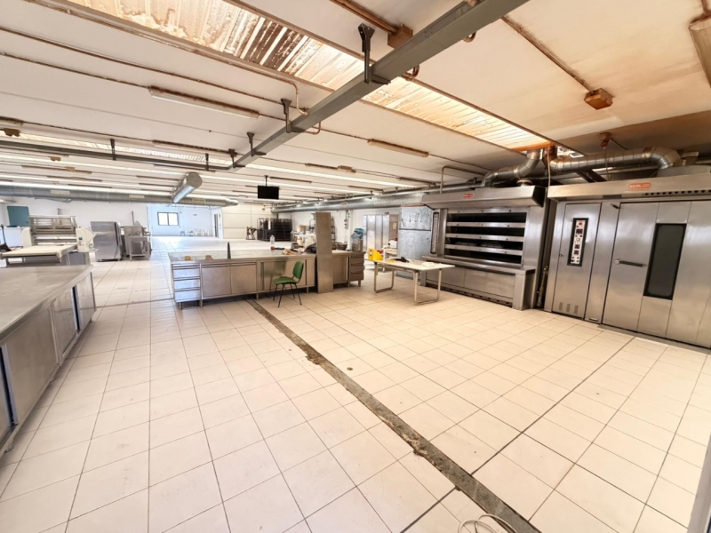 Ampio Capannone Industriale Arangea