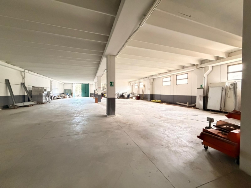 Ampio Capannone Industriale Arangea