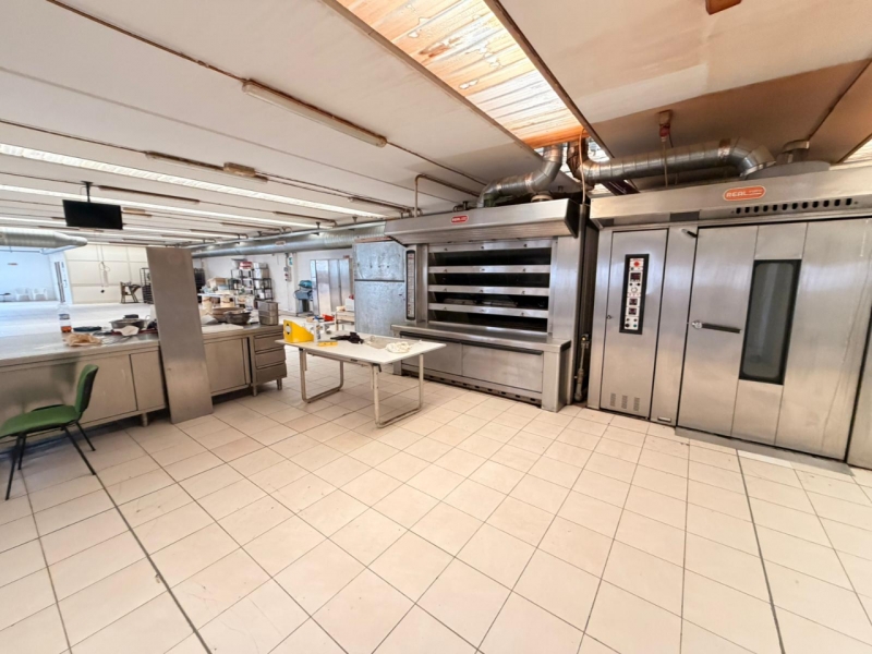 Ampio Capannone Industriale Arangea