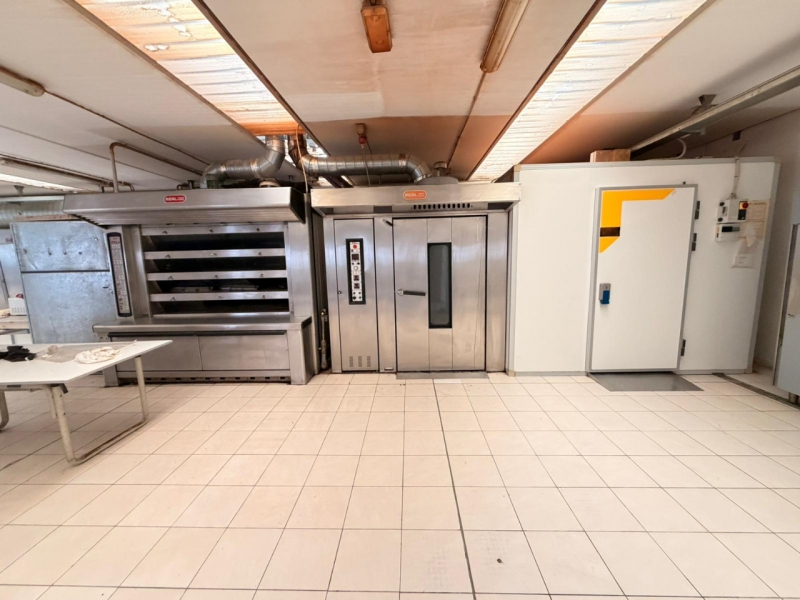 Ampio Capannone Industriale Arangea