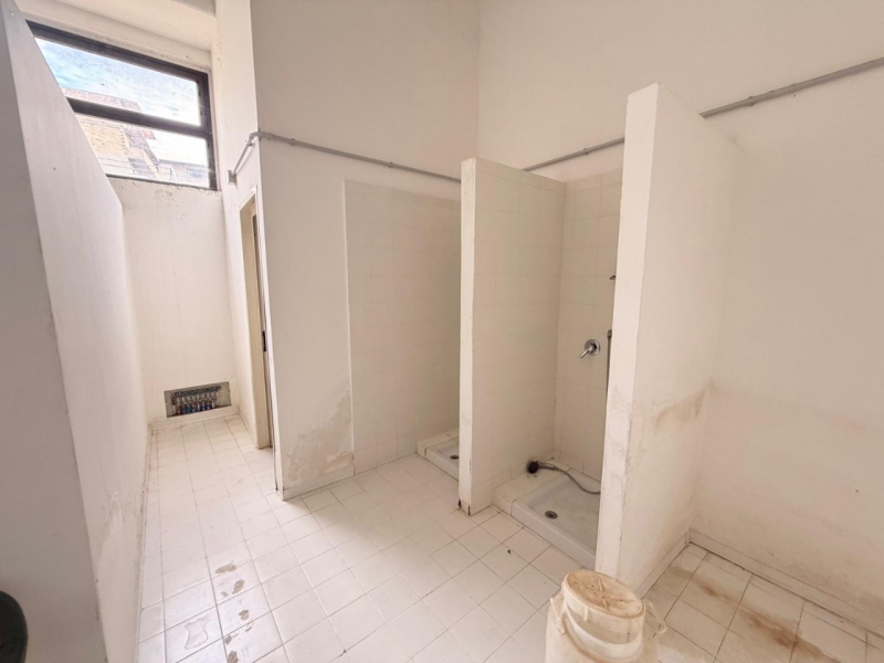 Ampio Capannone Industriale Arangea