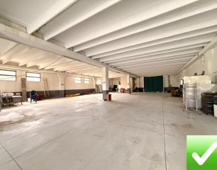 Ampio Capannone Industriale Arangea