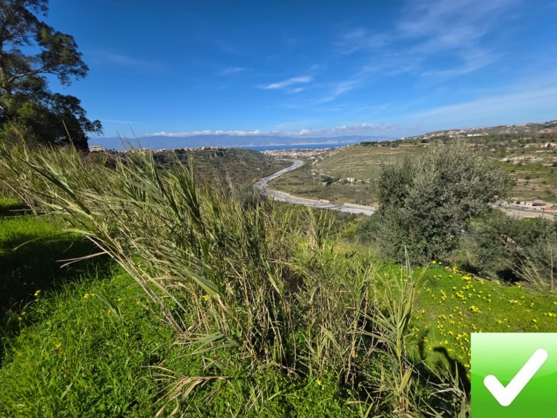 Terreno Agricolo Gallina 8000 Mq
