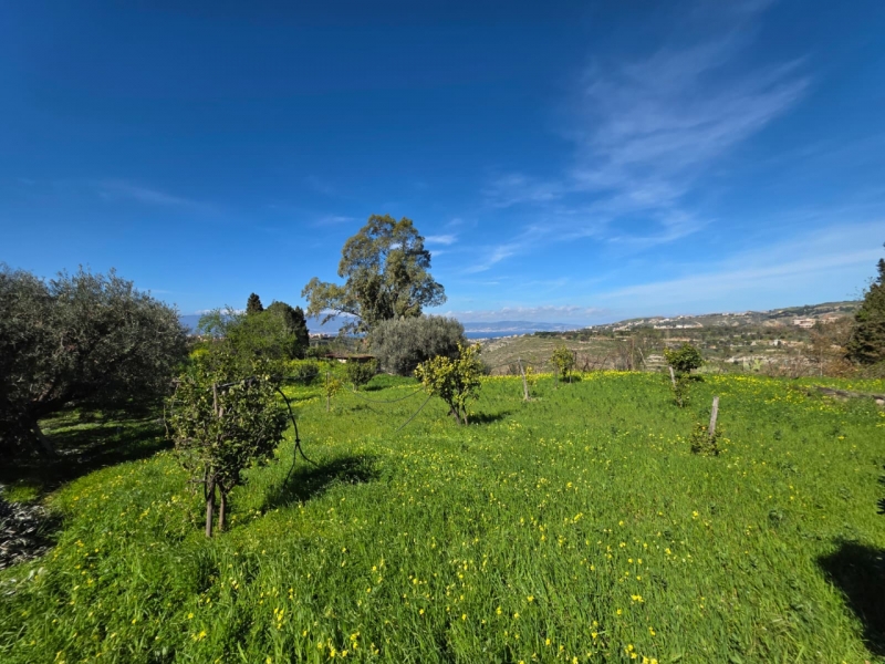 Terreno Agricolo Gallina 8000 Mq