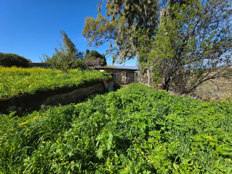 Terreno Agricolo Gallina 8000 Mq
