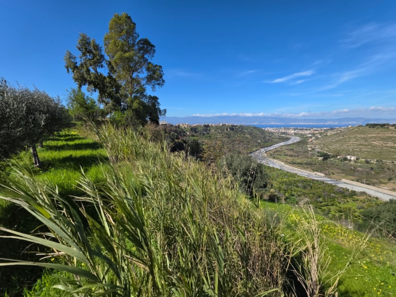 Terreno Agricolo Gallina 8000 Mq